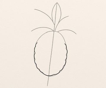 mount along Illustrate Ananas - By Oana