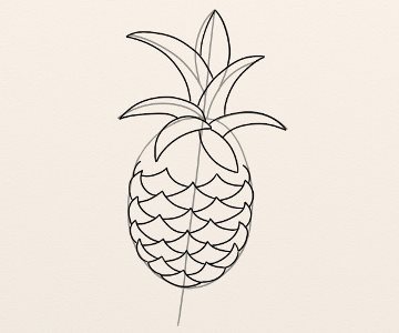mount along Illustrate Ananas - By Oana