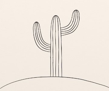 Cactus etapa 4