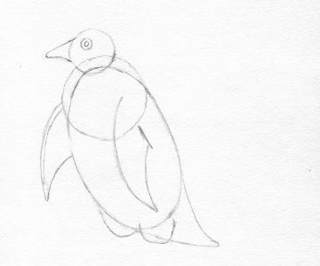Pinguin etapa 4