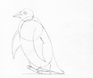 Pinguin etapa 5