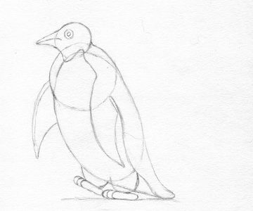 Pinguin etapa 6