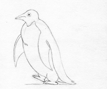 Pinguin etapa 7
