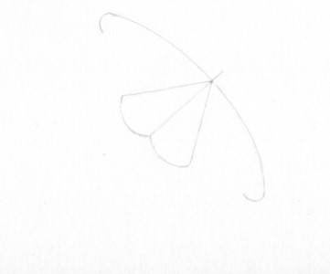 Fluture etapa 3